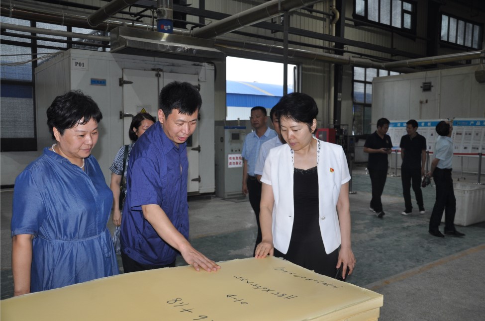孟津區(qū)委副書記、區(qū)政府黨組書記馬曉平到科博思調(diào)研指導工作